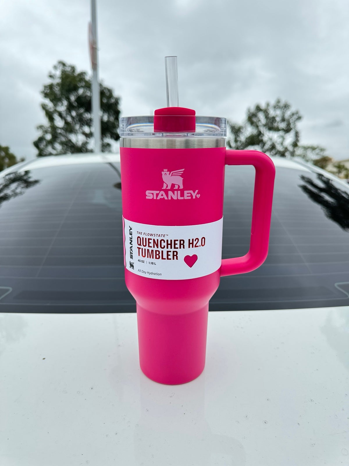 Stainless Steel Travel Mug - Insulated Tumbler